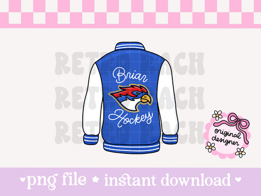 Briar Hockey PNG File